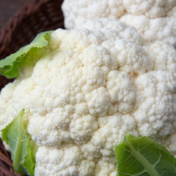 Bermeo F1 Cauliflower: 25 seeds