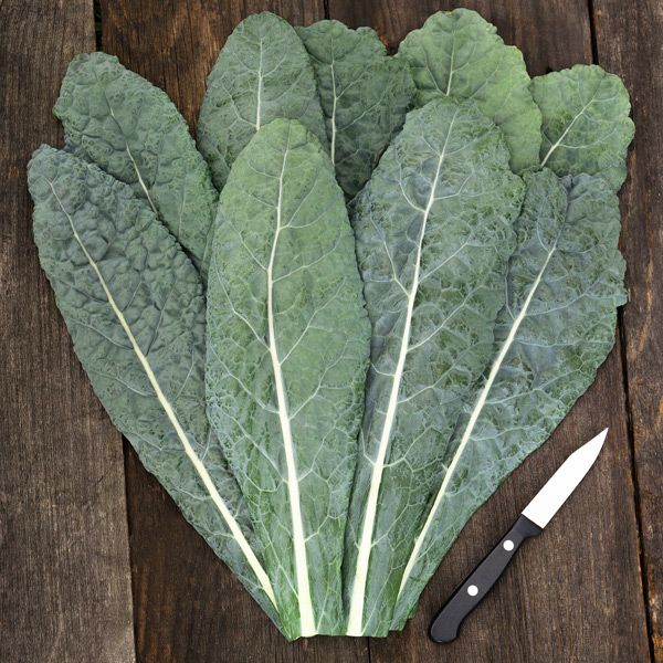 Container Garden (7 Pack)