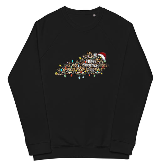 Merry Christmas Y'all Raglan Sweatshirt