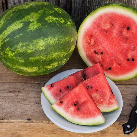 Crimson Sweet Watermelon: 1/16 oz