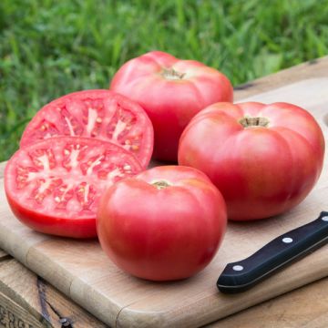 Heirloom Veggie Lovers (7 Pack)