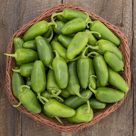 Early Jalapeno Hot Pepper: 10 seeds