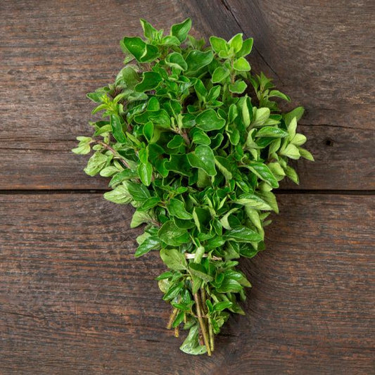 Greek Oregano: 1/10 gram