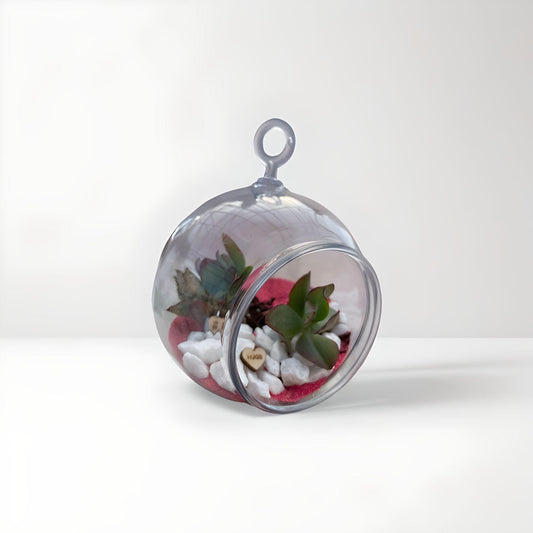 Valentine’s Terrarium Kit: DIY