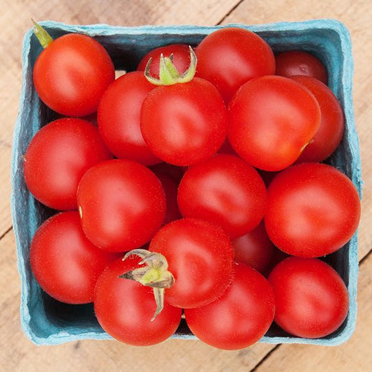 Peacevine Cherry Tomato: 1/10 gram