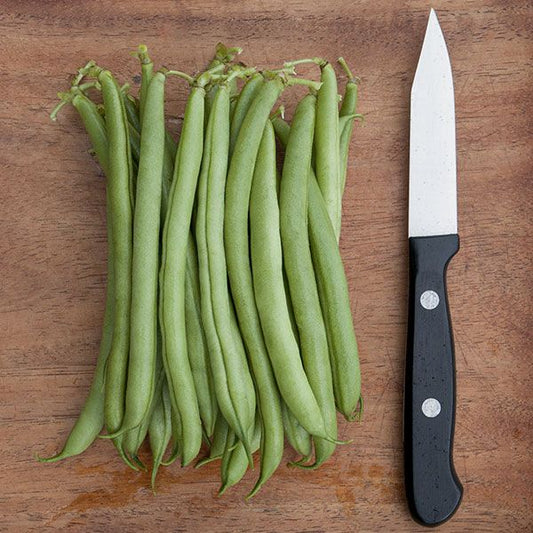 Provider Bush Bean: 1oz.