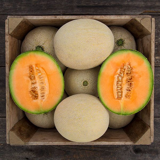 True Love F1 Melon: 10 seeds
