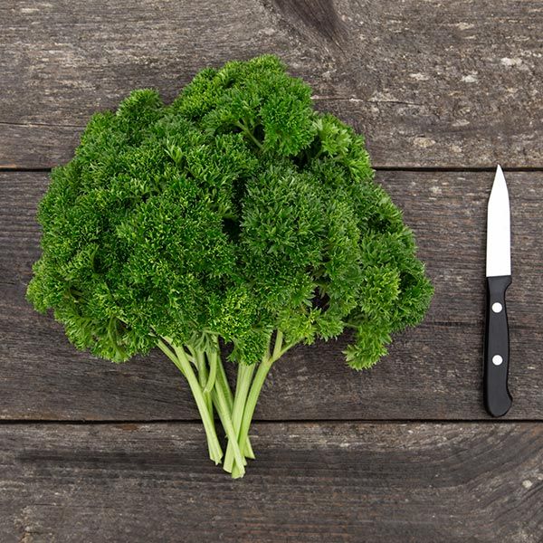 Kitchen Herbs (5 Pack)