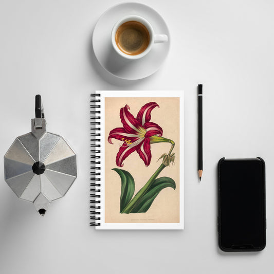 Spiral notebook